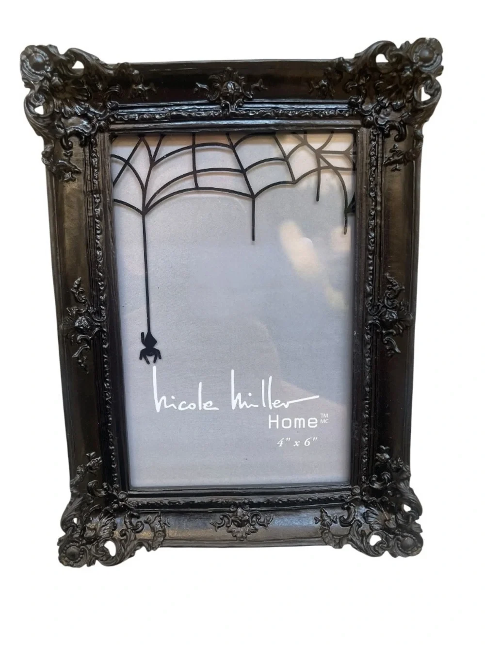 Nicole Miller Home Gothic Spider Web 4x6 Picture Frame - Halloween Spooky Decor